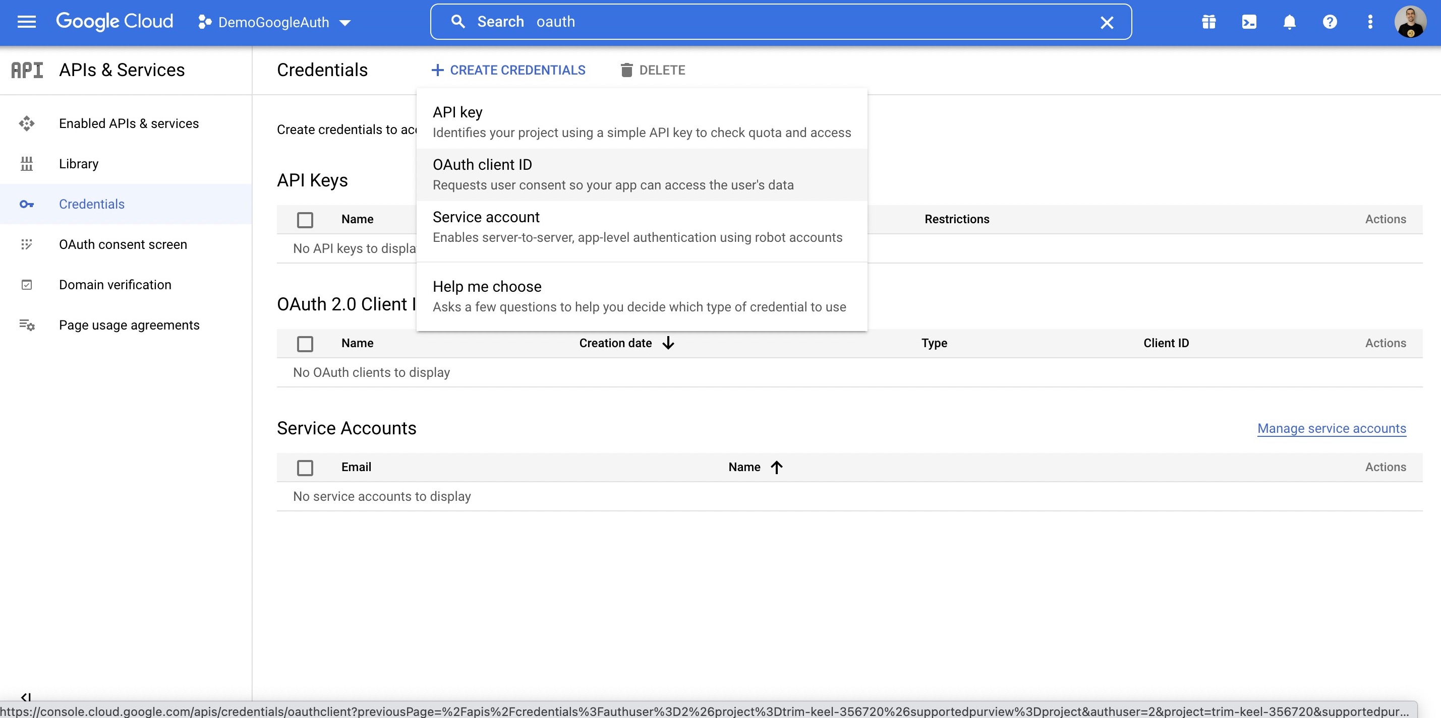 Google Console Screenshot 11