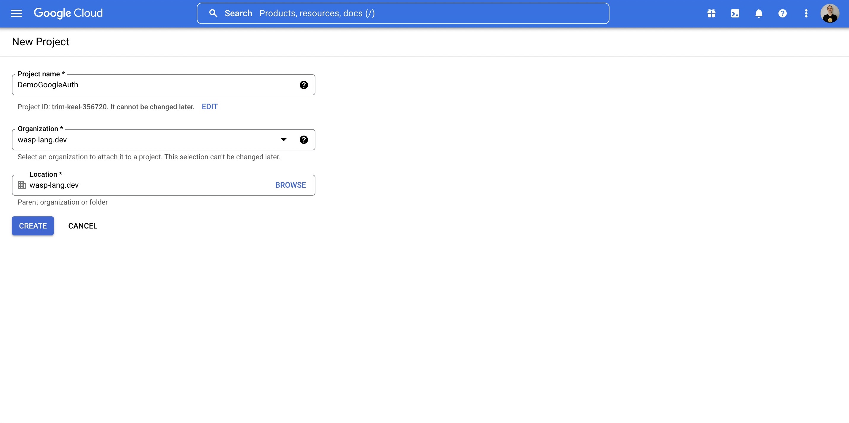 Google Console Screenshot 2